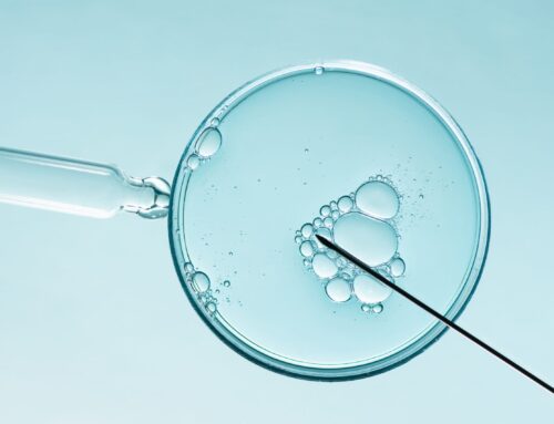 Embarking on an IVF journey: An explanation of the process of IVF