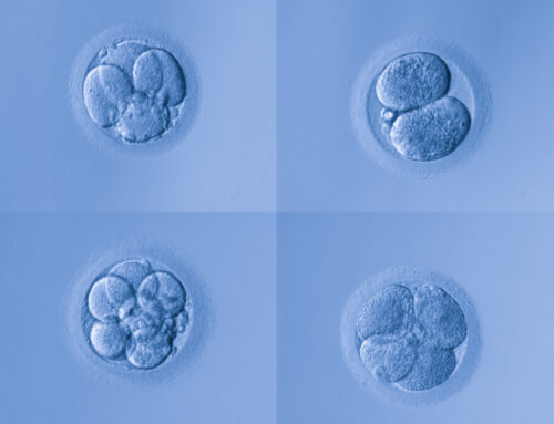 Alabama and IVF