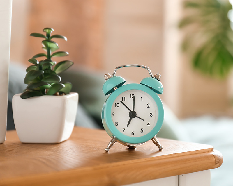 Clock on a table with a succulent